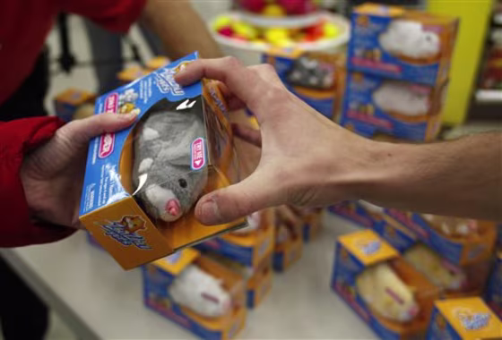 Small toy maker Cepia Inc., which makes robotic Zhu Zhu pets, gets feedback from mommy bloggers before its toys hit shelves.